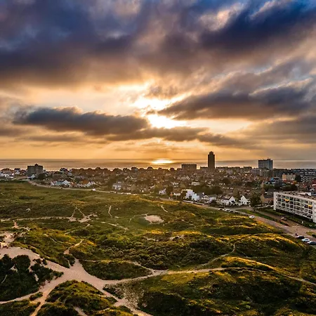 Elysium * Zandvoort